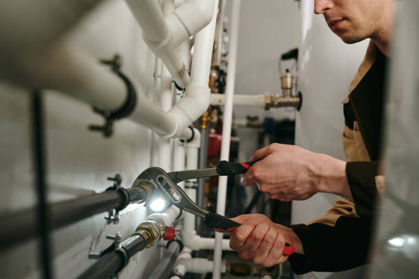 Best Emergency Plumber  in Lake Sarasota, FL